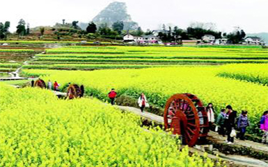 乡村旅游规划