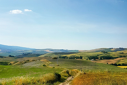 乡村振兴促进法（草案）公开征求意见 明确提出各级政府应支持乡村旅游发展