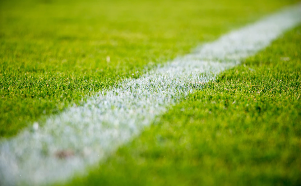 习近平：加快建设京张体育文化旅游带