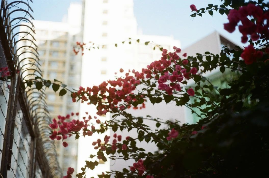 文化和旅游部关于发布2021年第一批文化和旅游行业标准的公告