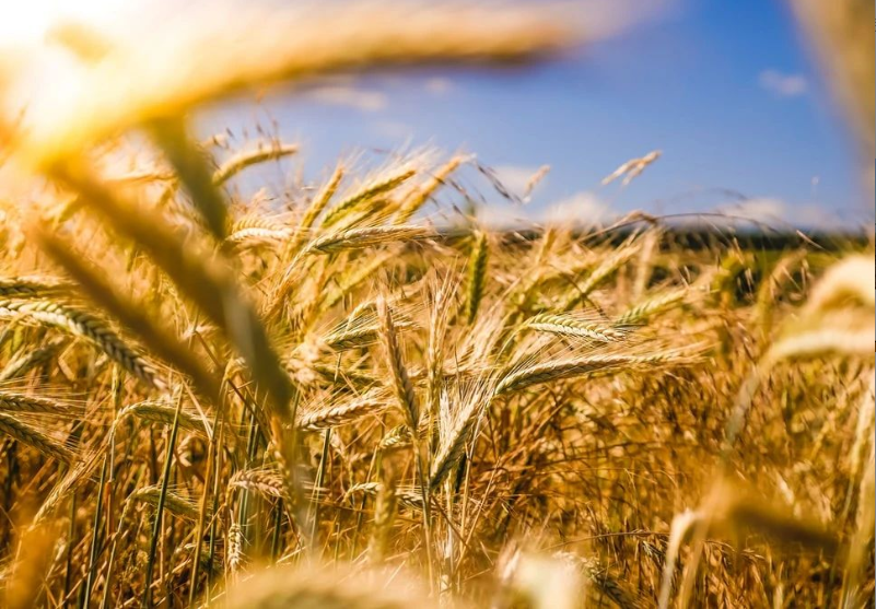 抓紧！2021年农业产业融合发展项目申报已开始