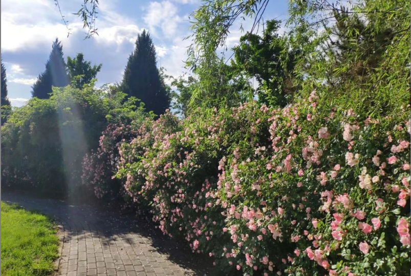 中华人民共和国国民经济和社会发展第十四个五年规划和2035年远景目标纲要