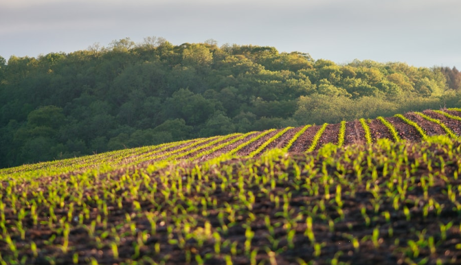 自然资源部、国家文物局关于在国土空间规划编制和实施中加强历史文化遗产保护管理的指导意见