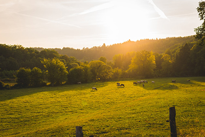 截至5月31日，赶快申报“全国休闲农业重点县”！