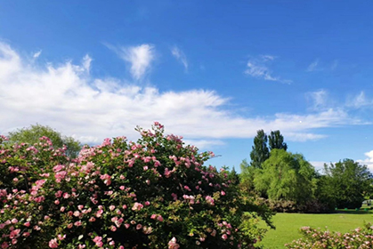 朱万峰：全域旅游要坚持生态打底