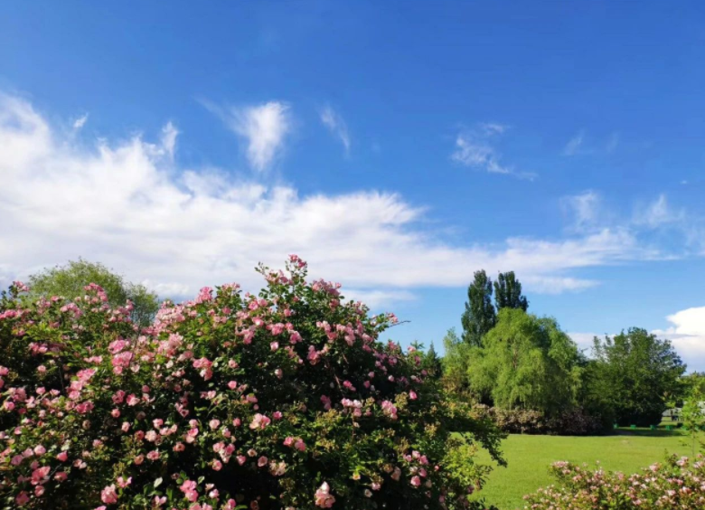 国家发展改革委等七部门联合印发《文化保护传承利用工程实施方案》