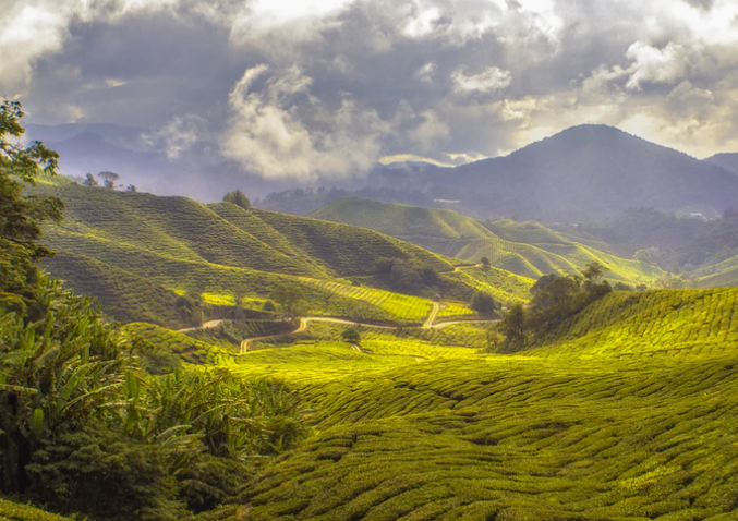 文化和旅游部、国家发展改革委联合推出300条乡村旅游学习体验线路