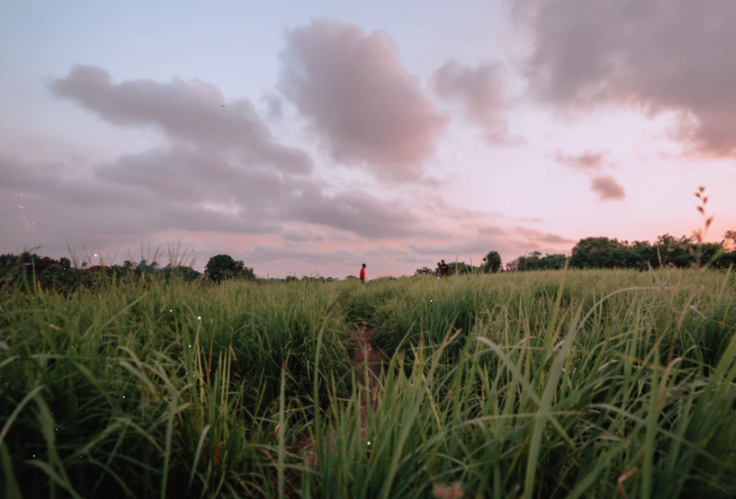 两部门：进一步加大开发性金融支持文化产业和旅游产业高质量发展