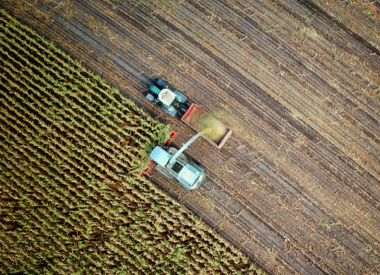 财政部：开展国家级田园综合体建设试点（附通知）