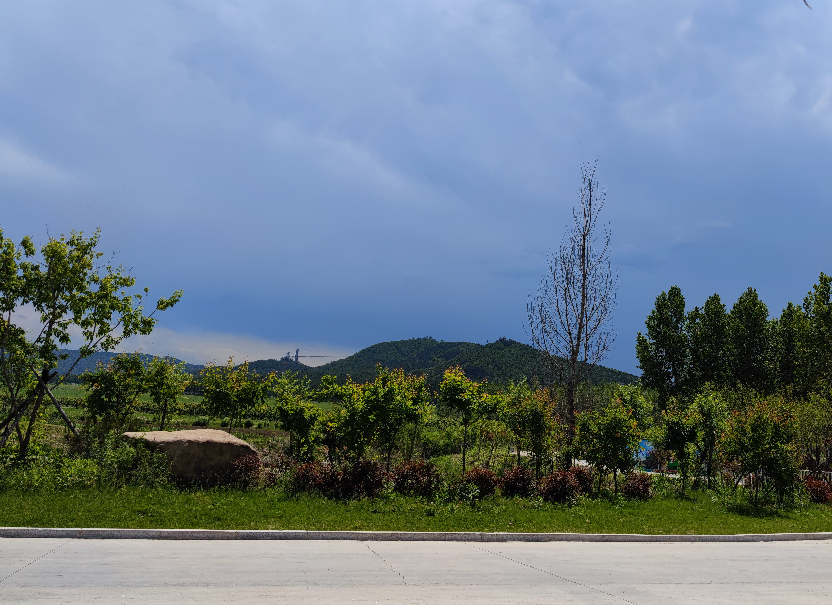 2020年文化和旅游发展统计公报发布！