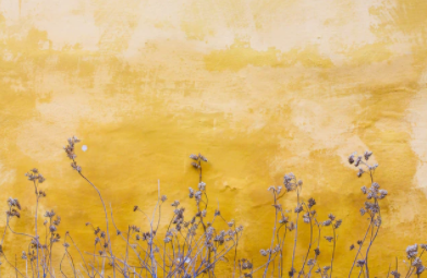 国家文物局推介百项2021年度“弘扬中华优秀传统文化、培育社会主义核心价值观”主题展览