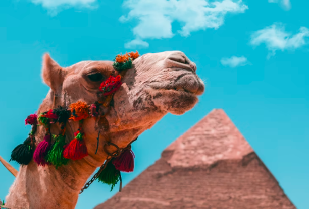 关于2021-2023年度“中国民间文化艺术之乡”拟命名名单的公示！