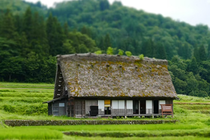 两部门：选择40个县开展传统村落集中连片保护利用示范