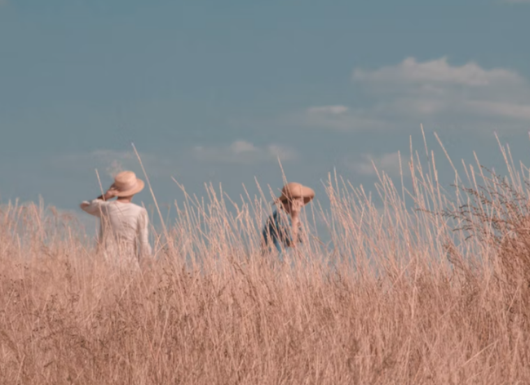 文化和旅游部办公厅发布关于开展2022年“文化和自然遗产日”非遗宣传展示活动的通知