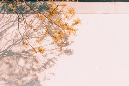 文旅部：实施“文化产业园区携行计划”