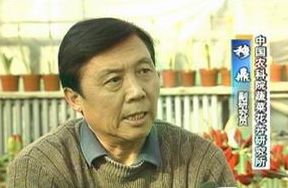 穆鼎